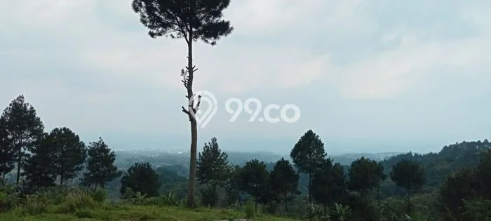 Tanah Kavling di Cidahu Dijual dengan Luas 15000m2 Tanah Kavling di Cidahu Dijual dengan Luas 15000m2