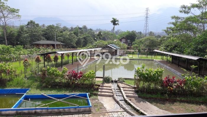 Komersial Favorit Dijual di Cicurug Sukabumi Kawasan Pusat Bisnis Komersial Favorit Dijual di Cicurug Sukabumi Kawasan Pusat Bisnis