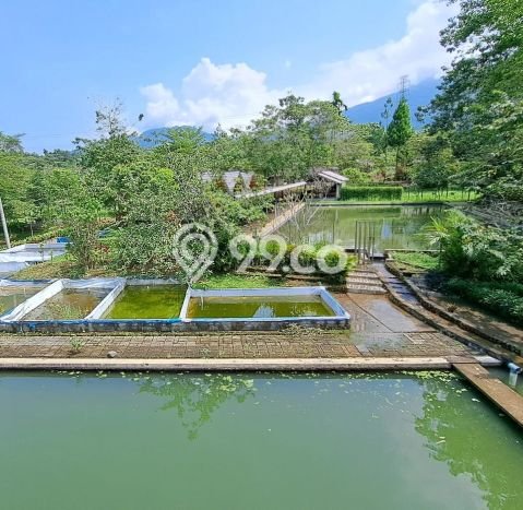 Komersial Favorit Dijual di Cicurug Sukabumi Kawasan Pusat Bisnis Komersial Favorit Dijual di Cicurug Sukabumi Kawasan Pusat Bisnis