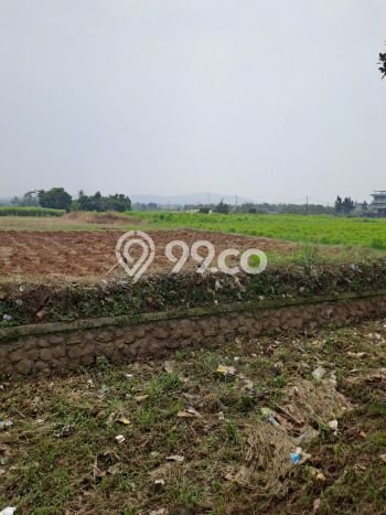 Tanah Kavling untuk Dijual di Ranca Bungur Bogor 90000m2 Tanah Kavling untuk Dijual di Ranca Bungur Bogor 90000m2