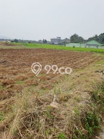 Tanah Kavling untuk Dijual di Ranca Bungur Bogor 90000m2 Tanah Kavling untuk Dijual di Ranca Bungur Bogor 90000m2