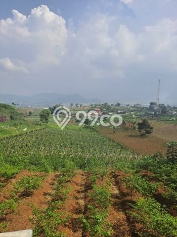 Tanah di Sukaresmi, Cianjur Luas 220000m2 Dijual Segera Tanah di Sukaresmi, Cianjur Luas 220000m2 Dijual Segera