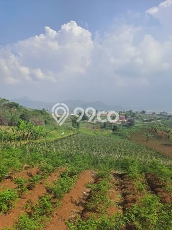 Tanah di Sukaresmi, Cianjur Luas 220000m2 Dijual Segera Tanah di Sukaresmi, Cianjur Luas 220000m2 Dijual Segera