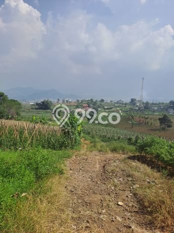 Tanah di Sukaresmi, Cianjur Luas 220000m2 Dijual Segera Tanah di Sukaresmi, Cianjur Luas 220000m2 Dijual Segera