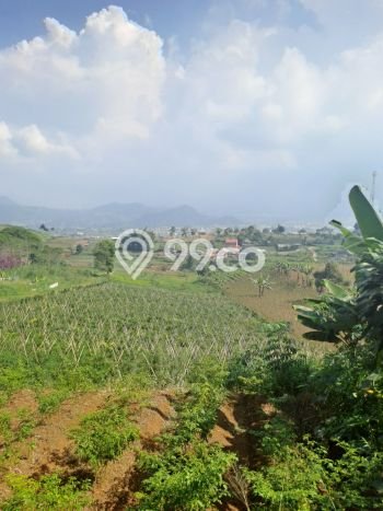 Tanah di Sukaresmi, Cianjur Luas 220000m2 Dijual Segera Tanah di Sukaresmi, Cianjur Luas 220000m2 Dijual Segera