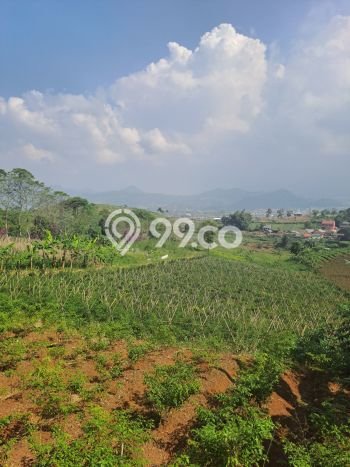 Tanah di Sukaresmi, Cianjur Luas 220000m2 Dijual Segera Tanah di Sukaresmi, Cianjur Luas 220000m2 Dijual Segera