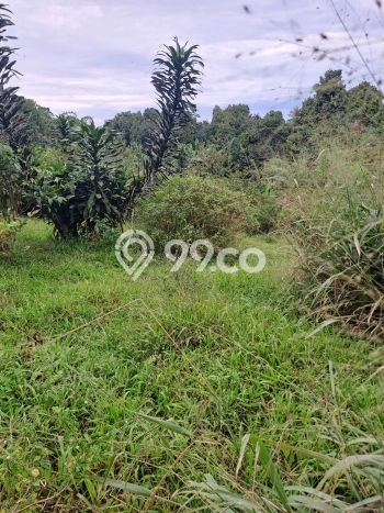 Lahan Kosong Dijual di Bogor dengan Area 8000m2 Lahan Kosong Dijual di Bogor dengan Area 8000m2