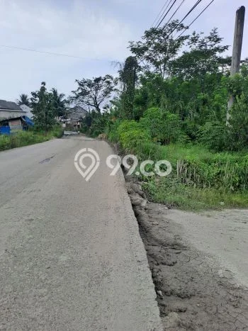 Tanah di Cigudeg, Bogor Luas 46000m2 Dijual Segera Tanah di Cigudeg, Bogor Luas 46000m2 Dijual Segera