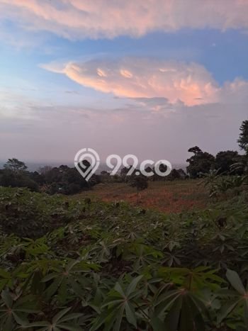 Tanah Dijual di Bogor Seluas 10000m2 Strategis Tanah Dijual di Bogor Seluas 10000m2 Strategis
