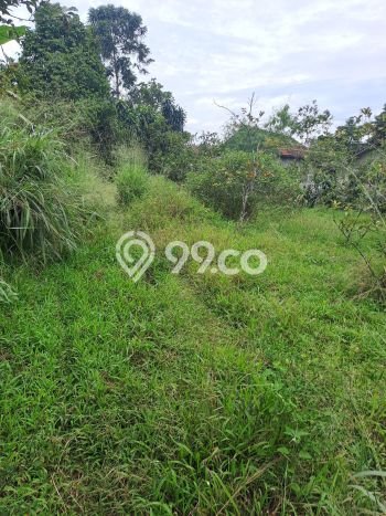Lahan Kosong Dijual di Bogor dengan Area 8000m2 Lahan Kosong Dijual di Bogor dengan Area 8000m2