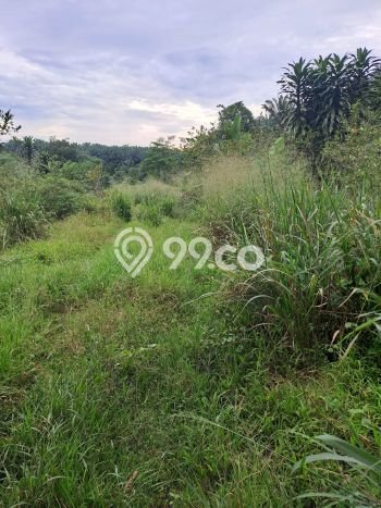 Lahan Kosong Dijual di Bogor dengan Area 8000m2 Lahan Kosong Dijual di Bogor dengan Area 8000m2