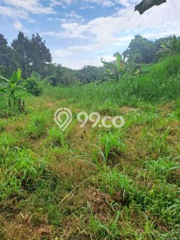 Tanah untuk Dijual di Rumpin Bogor Luas 12000m2 Tanah untuk Dijual di Rumpin Bogor Luas 12000m2