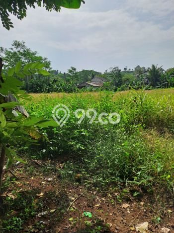 Tanah di Cigudeg, Bogor Luas 46000m2 Dijual Segera Tanah di Cigudeg, Bogor Luas 46000m2 Dijual Segera