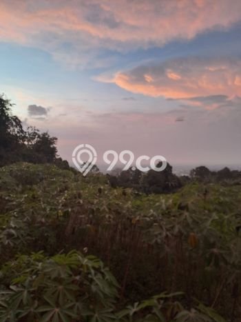 Tanah Dijual di Bogor Seluas 10000m2 Strategis Tanah Dijual di Bogor Seluas 10000m2 Strategis
