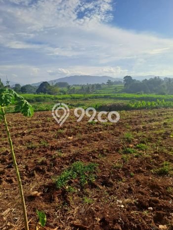 Lahan Investasi Lokasi Ranca Bungur Bogor SHM Lahan Investasi Lokasi Ranca Bungur Bogor SHM