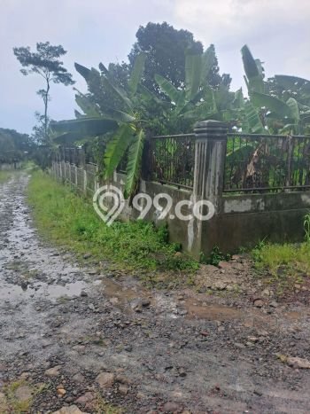Tanah untuk Dijual Lokasi Ciampea, Bogor Luas 600m2 SHM Tanah untuk Dijual Lokasi Ciampea, Bogor Luas 600m2 SHM