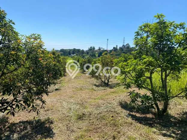Tanah untuk Dijual di Bojong Genteng Sukabumi Luas 75000m2 Tanah untuk Dijual di Bojong Genteng Sukabumi Luas 75000m2