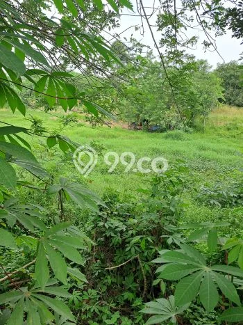Tanah di Cigudeg, Bogor Luas 46000m2 Dijual Segera Tanah di Cigudeg, Bogor Luas 46000m2 Dijual Segera