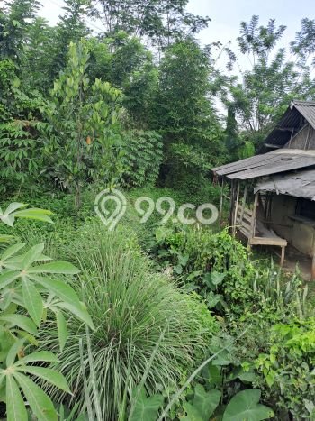 Tanah di Cigudeg, Bogor Luas 46000m2 Dijual Segera Tanah di Cigudeg, Bogor Luas 46000m2 Dijual Segera