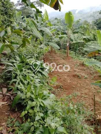 Untuk Dijual Tanah di Sukaraja Bogor Luas 1900m2 SHM Untuk Dijual Tanah di Sukaraja Bogor Luas 1900m2 SHM