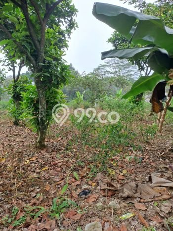 Lahan Investasi Lokasi Caringin Bogor AJB Lahan Investasi Lokasi Caringin Bogor AJB