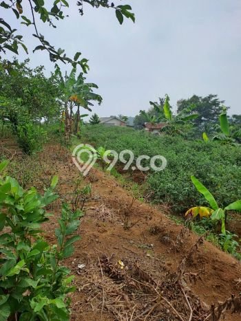 Lahan Investasi Lokasi Caringin Bogor AJB Lahan Investasi Lokasi Caringin Bogor AJB