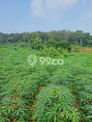 Tanah Kavling untuk Dijual di Rumpin Bogor 6000m2 Tanah Kavling untuk Dijual di Rumpin Bogor 6000m2
