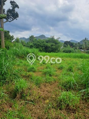 Tanah untuk Dijual di Rumpin Bogor Luas 12000m2 Tanah untuk Dijual di Rumpin Bogor Luas 12000m2