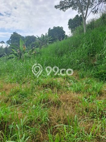 Tanah untuk Dijual di Rumpin Bogor Luas 12000m2 Tanah untuk Dijual di Rumpin Bogor Luas 12000m2