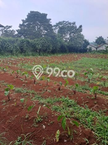 Lahan Strategis di Kemang Dijual dengan Luas 986m2 Lahan Strategis di Kemang Dijual dengan Luas 986m2