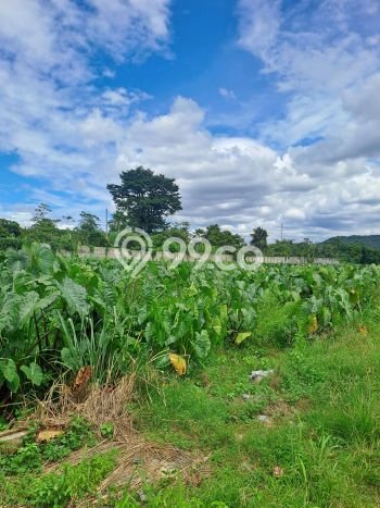 Kavling Tanah Dijual di Ranca Bungur, Bogor, Luas 20000m2 Area Strategis Kavling Tanah Dijual di Ranca Bungur, Bogor, Luas 20000m2 Area Strategis