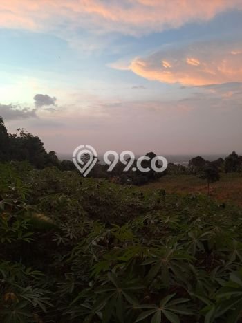 Tanah Dijual di Bogor Seluas 10000m2 Strategis Tanah Dijual di Bogor Seluas 10000m2 Strategis
