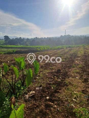 Lahan Investasi Lokasi Ranca Bungur Bogor SHM Lahan Investasi Lokasi Ranca Bungur Bogor SHM