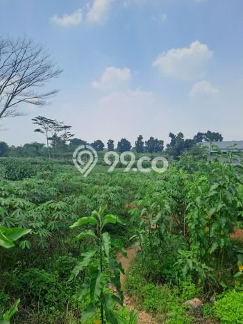 Tanah Dijual Area Strategis di Sentul City Bogor 16000m2 Tanah Dijual Area Strategis di Sentul City Bogor 16000m2