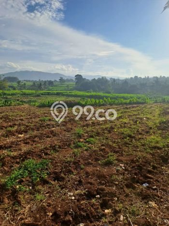 Lahan Investasi Lokasi Ranca Bungur Bogor SHM Lahan Investasi Lokasi Ranca Bungur Bogor SHM