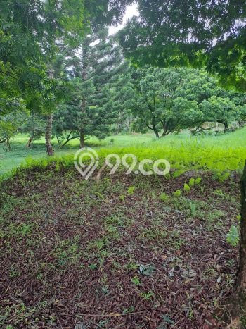 Tanah Dijual Lokasi Cisarua, Bogor dengan Luas Tanah 10000m2 dan Status SHM Tanah Dijual Lokasi Cisarua, Bogor dengan Luas Tanah 10000m2 dan Status SHM