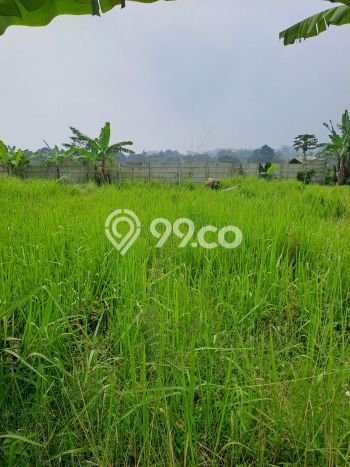 Tanah Kavling di Caringin Dijual dengan Luas 700m2 Tanah Kavling di Caringin Dijual dengan Luas 700m2
