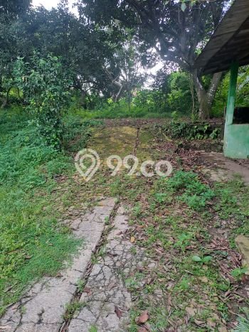 Tanah di Ciseeng, Bogor Luas 5000m2 Dijual Segera Tanah di Ciseeng, Bogor Luas 5000m2 Dijual Segera