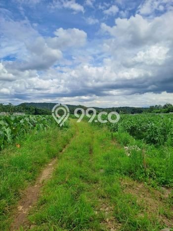 Kavling Tanah Dijual di Ranca Bungur, Bogor, Luas 20000m2 Area Strategis Kavling Tanah Dijual di Ranca Bungur, Bogor, Luas 20000m2 Area Strategis