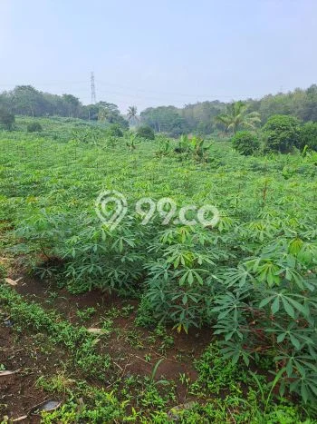 Tanah Kavling untuk Dijual di Rumpin Bogor 6000m2 Tanah Kavling untuk Dijual di Rumpin Bogor 6000m2