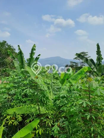 Tanah untuk Dijual Lokasi Babakan Madang, Bogor Luas 582m2 - Tanah untuk Dijual Lokasi Babakan Madang, Bogor Luas 582m2 -