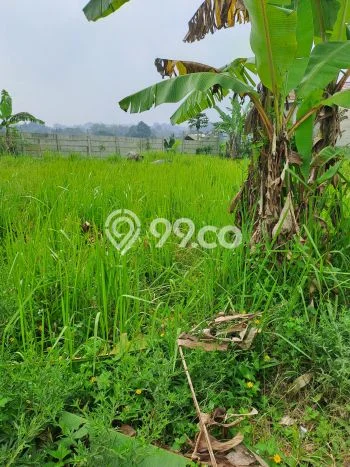 Tanah Kavling di Caringin Dijual dengan Luas 700m2 Tanah Kavling di Caringin Dijual dengan Luas 700m2