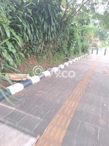 Untuk Dijual Tanah di Cibinong Bogor Luas 2500m2 SHM Untuk Dijual Tanah di Cibinong Bogor Luas 2500m2 SHM