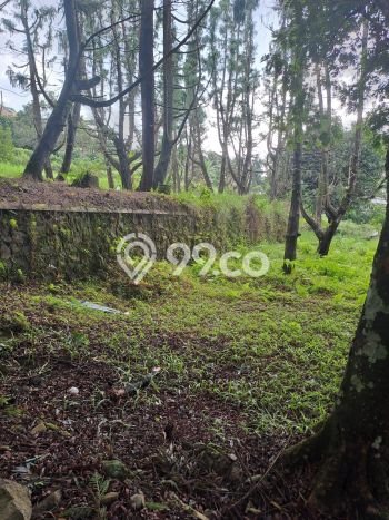 Tanah Dijual Lokasi Cisarua, Bogor dengan Luas Tanah 10000m2 dan Status SHM Tanah Dijual Lokasi Cisarua, Bogor dengan Luas Tanah 10000m2 dan Status SHM