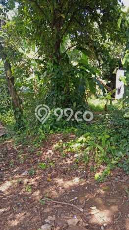 Lahan Dijual Lokasi Cibinong, Bogor dengan Luas Tanah 1200m2 dan Status SHM Lahan Dijual Lokasi Cibinong, Bogor dengan Luas Tanah 1200m2 dan Status SHM