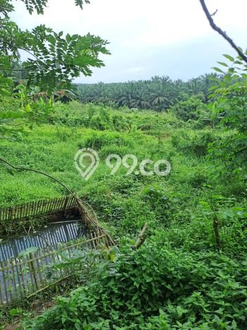 Tanah di Cigudeg, Bogor Luas 46000m2 Dijual Segera Tanah di Cigudeg, Bogor Luas 46000m2 Dijual Segera