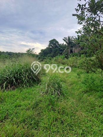 Lahan Kosong Dijual di Bogor dengan Area 8000m2 Lahan Kosong Dijual di Bogor dengan Area 8000m2