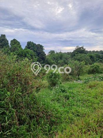 Lahan Kosong Dijual di Bogor dengan Area 8000m2 Lahan Kosong Dijual di Bogor dengan Area 8000m2