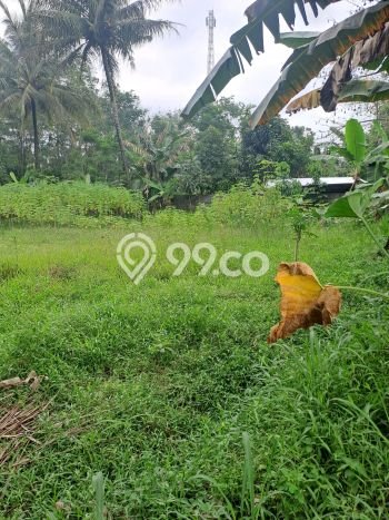 Tanah Area Prospektif Kawasan Rumpin, Luas 15000m2m², Akses ke Pusat Kota, Lingkungan Asri Tanah Area Prospektif Kawasan Rumpin, Luas 15000m2m², Akses ke Pusat Kota, Lingkungan Asri