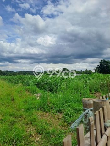 Kavling Tanah Dijual di Ranca Bungur, Bogor, Luas 20000m2 Area Strategis Kavling Tanah Dijual di Ranca Bungur, Bogor, Luas 20000m2 Area Strategis